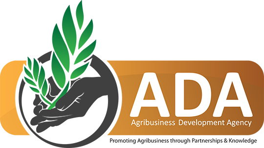 ada logo 1.png